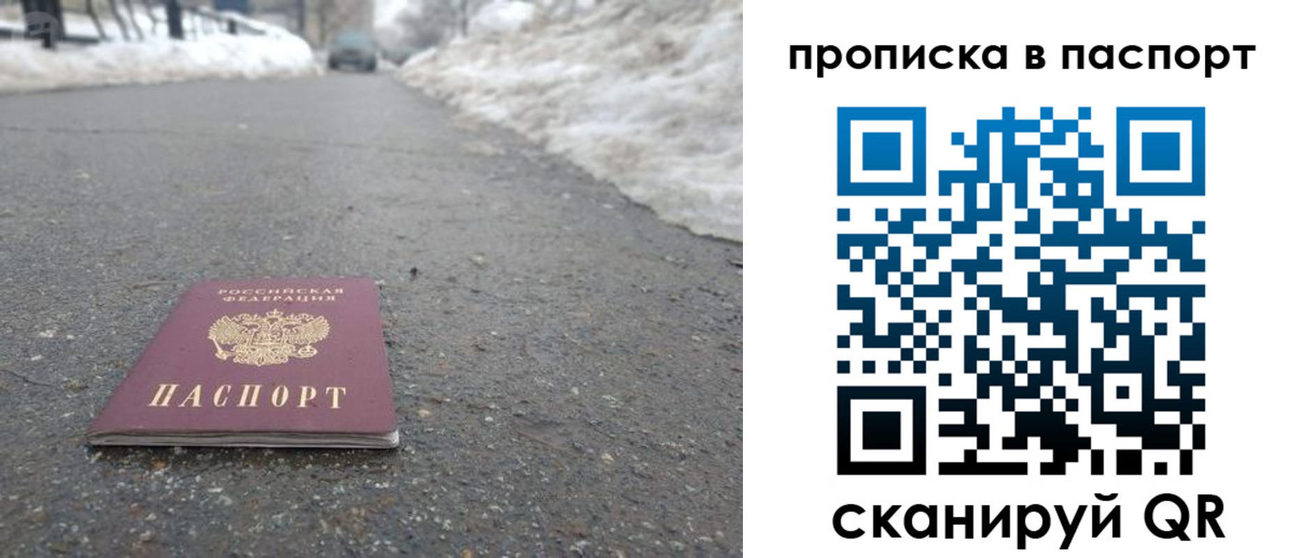 пропишу в квартире в Павловском Посаде